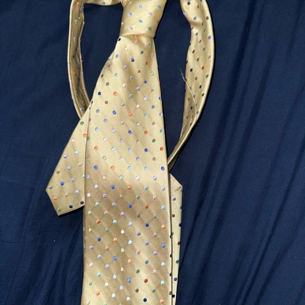 Elegant Gold Polka Dot Tie